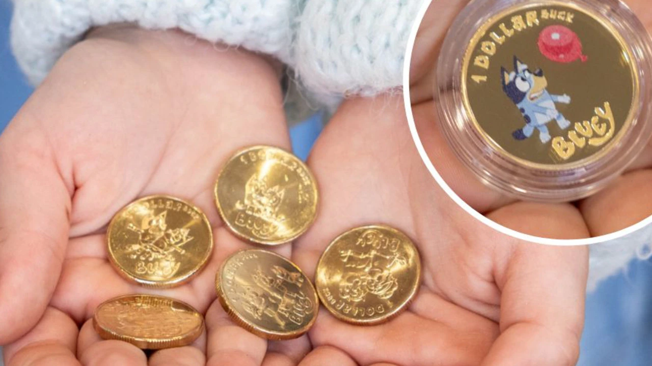 bluey coins